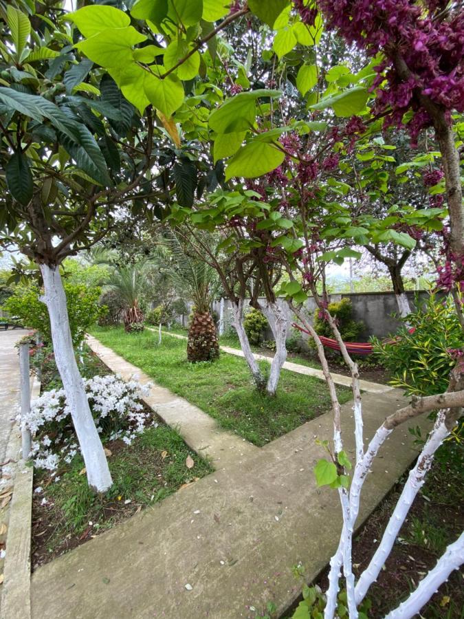 Jako Batumi Bagian luar foto